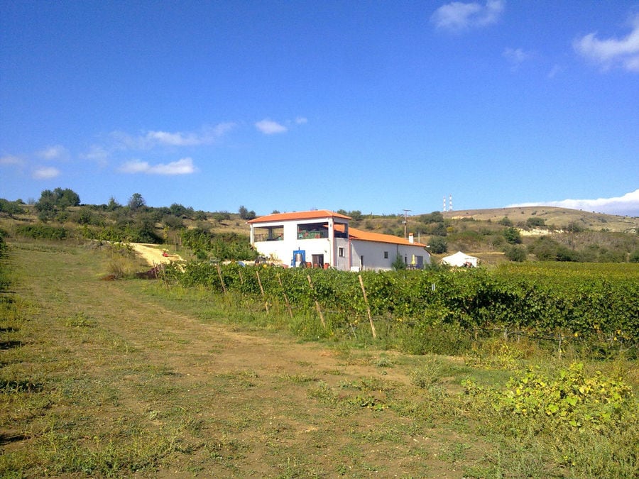 dirt road and rows of vines in the background of 'Domaine Karanika' building
